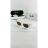 Rayba_ice_brown_2140