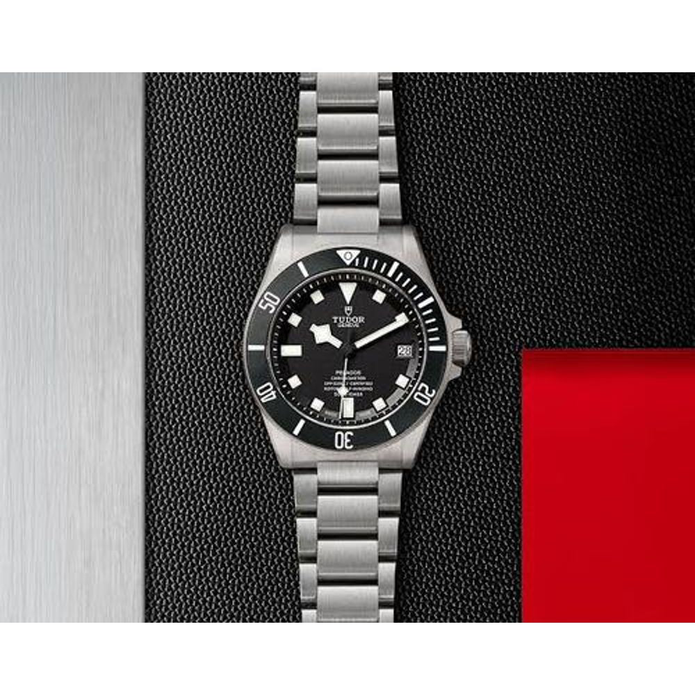 Tudor Pelagos Silver Black