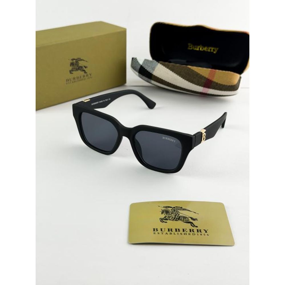 Burberr_black 4419 -83