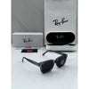RAYBA_AN SUNGLAS D-586