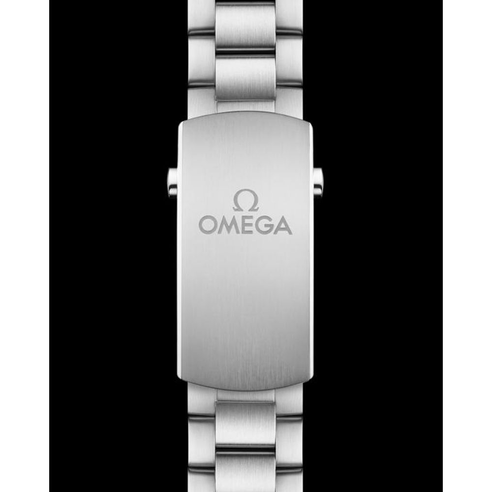 Omegg_a Seamaster Planet Ocean 600M silver blue