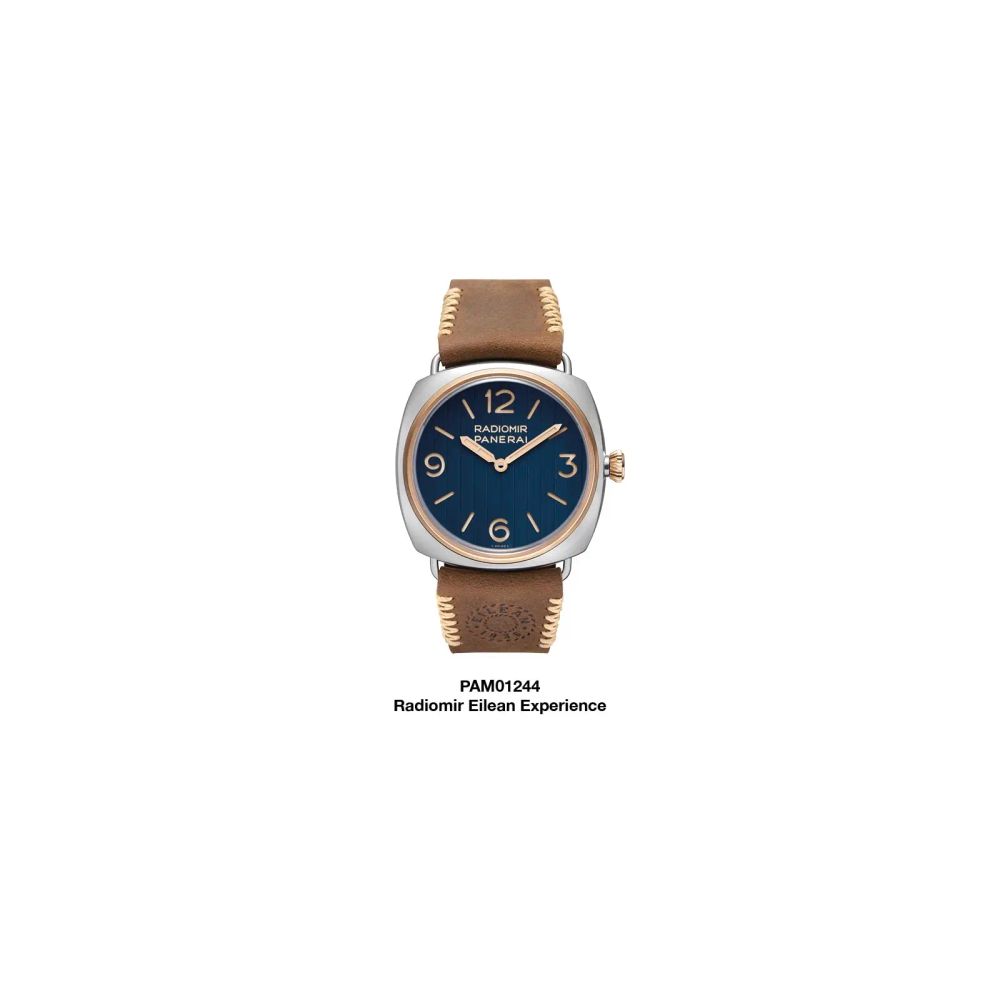 Radiomir Panerai Eliean Experience PAM01244-50 Piece Limited Edition