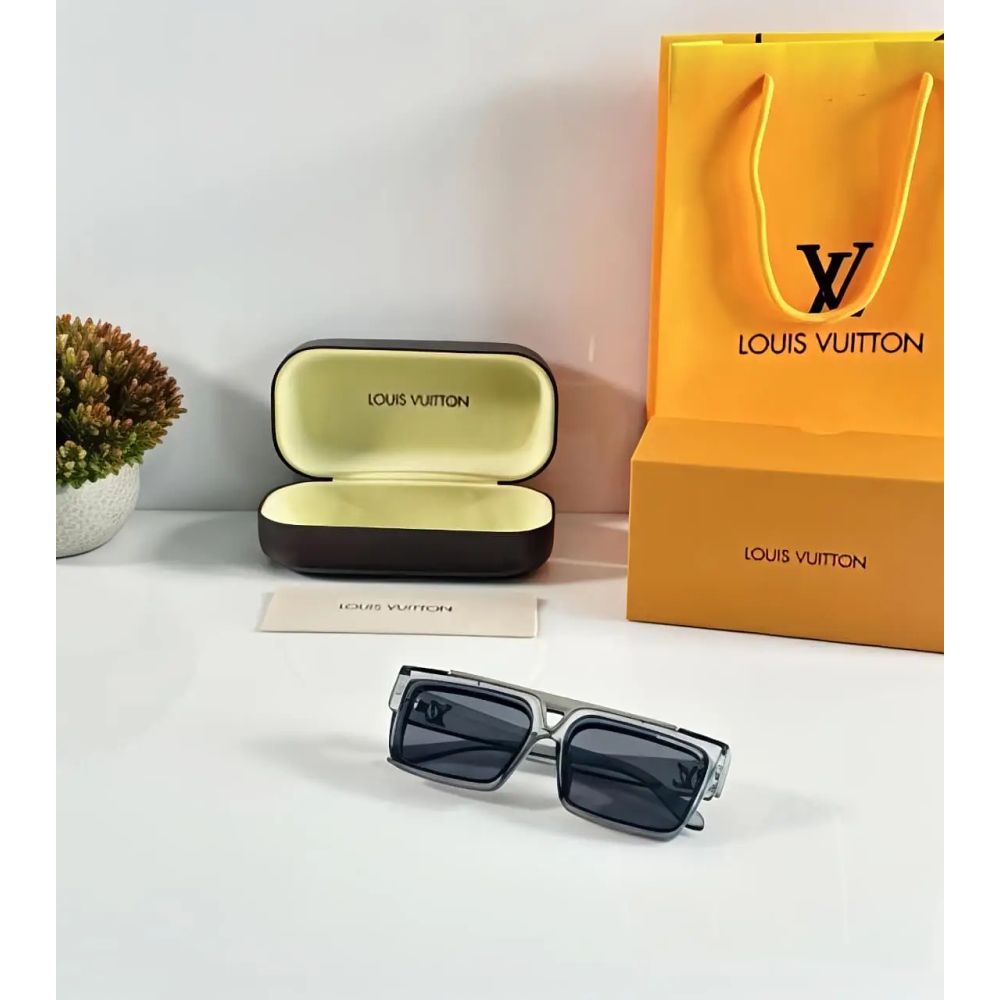 Louis Vuitton Grey