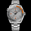 Omegg_a Seamaster Planet Ocean 600M silver gray