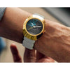 RADDO DIASTAR  X TEJ CHAUHAN SPECAIL EDITION 800