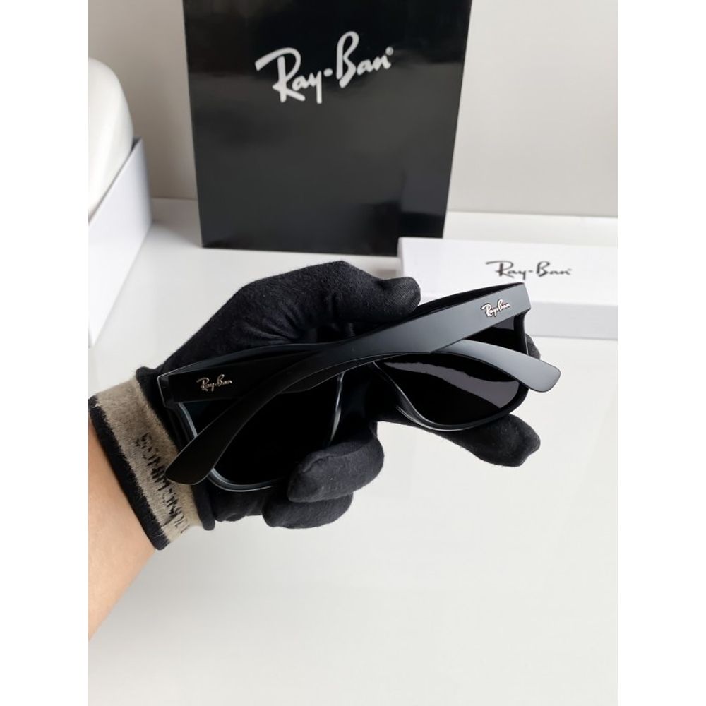Rayba black Blaze 650