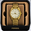 Fossiil Mens Quartz watch