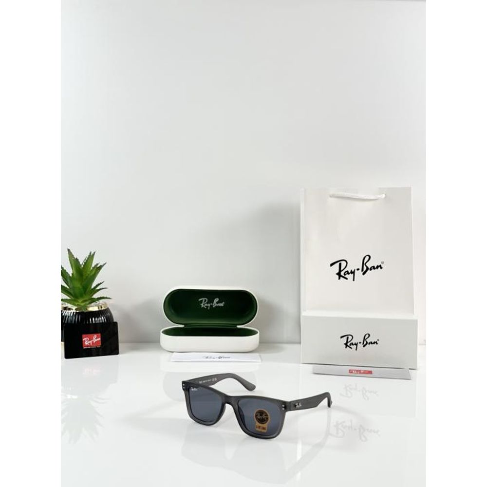 Rey ban Reverse 0502 Matte Grey