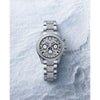 Rolee_x Oyster Perpetual Tiger Silver