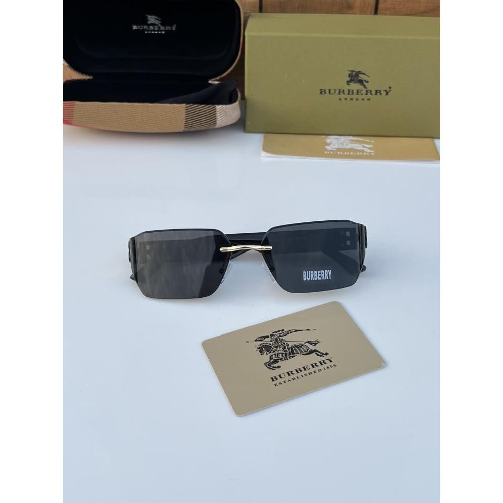 Burberr_282 gold black