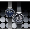 Omegha seamaster em 66 fix