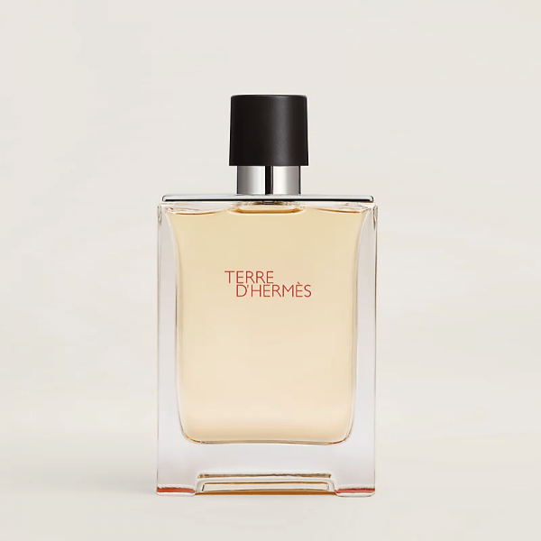 Hermes Paris Terre DHermes EDT 100ml