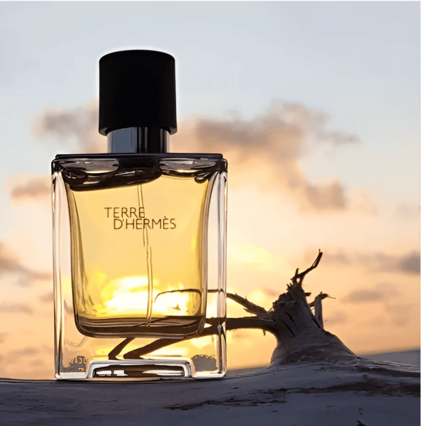 Hermes Paris Terre DHermes EDT 100ml
