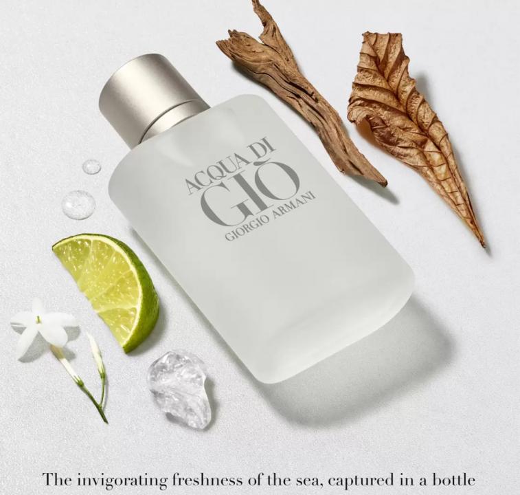 arma i Aqua Di Gio EDT 100ml
