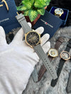 Tommy_Hilfiger Grey Gold Automatic W143