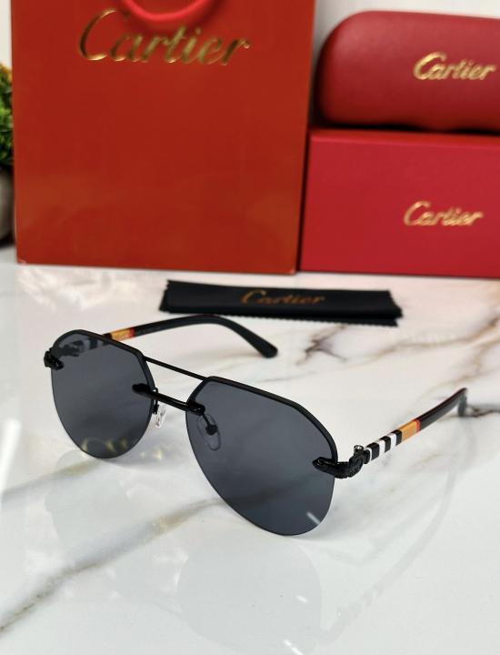 CARTIE_R SUNGLAS D-141