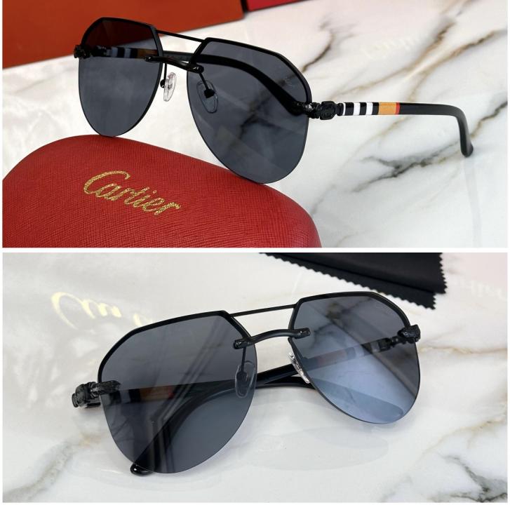 CARTIE_R SUNGLAS D-141