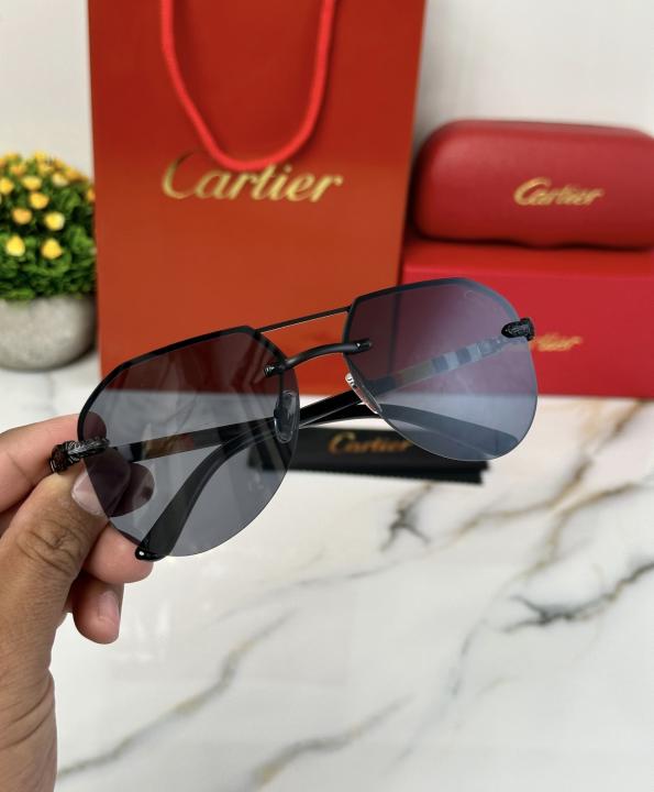 CARTIE_R SUNGLAS D-141