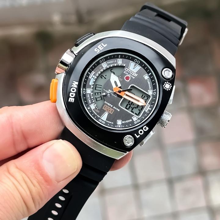 CITIZEN_SILVER-BLACK