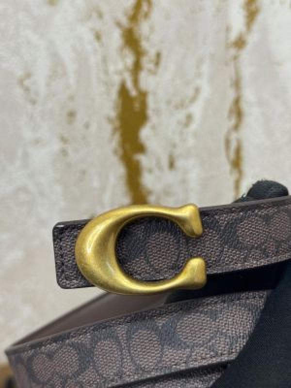 Coach_Signature_Belt_With_Box_And_DustBag_Including_CarryBag_(C52-Coffee)