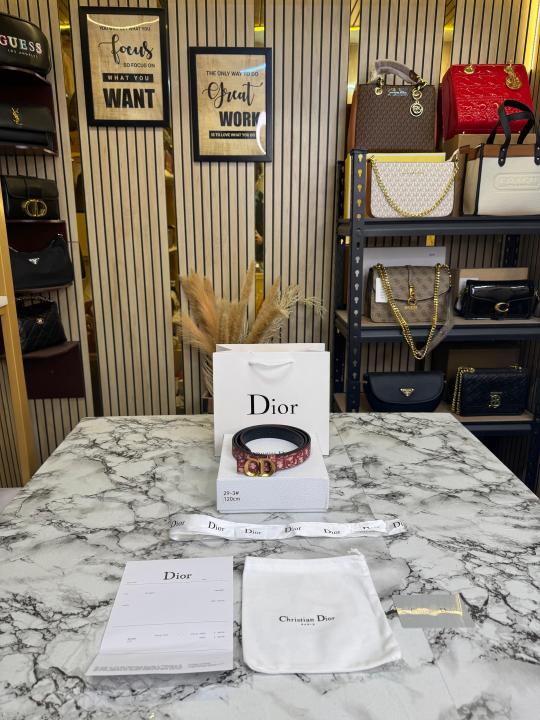 Christian_Dior_Oblique_Printed_Buckle_With_CD_Buckle_Includes_CarryBag_Box_And_Dust_Bag_(29-3)