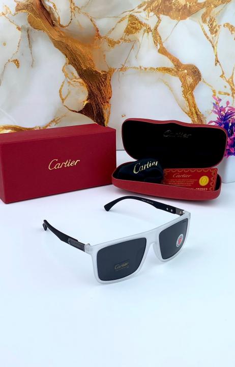 CARTIE_R SUNGLASS D-449