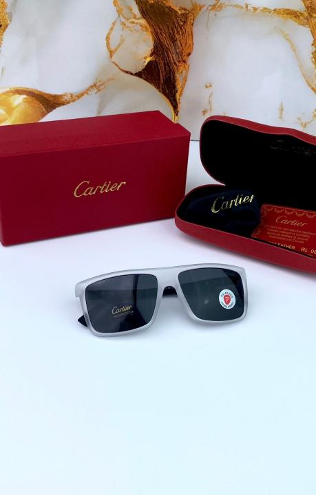CARTIE_R SUNGLASS D-449