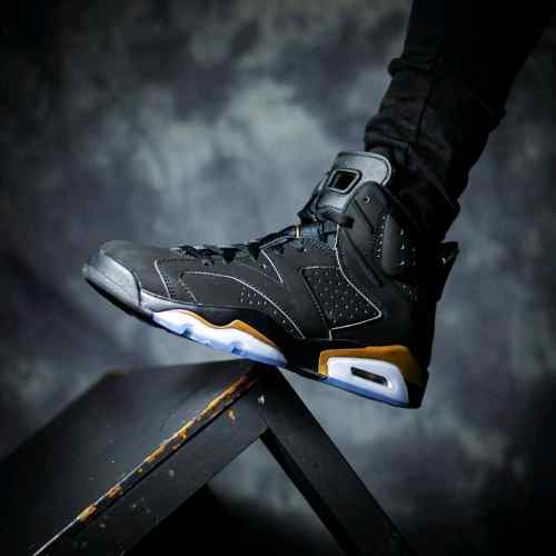 nikee jordan retro 6 DMP