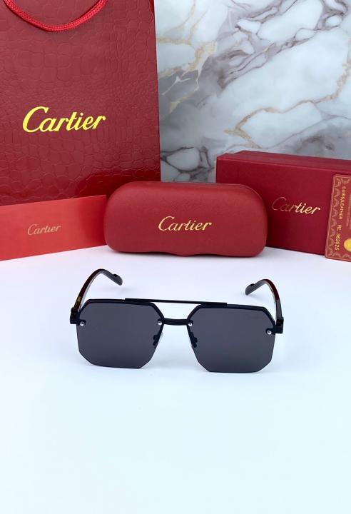 CARTIE_R SUNGLASS D-446