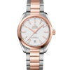 Omeg_a Seamaster Aqua Terra