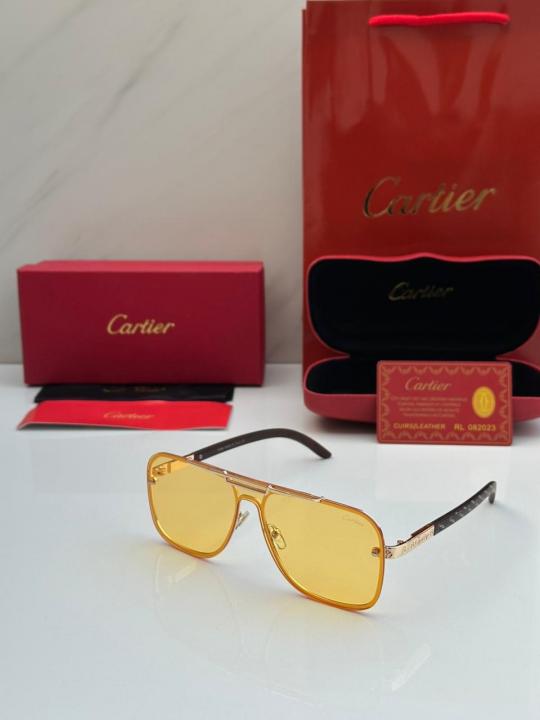 CARTIE_R SUNGLASS D-410