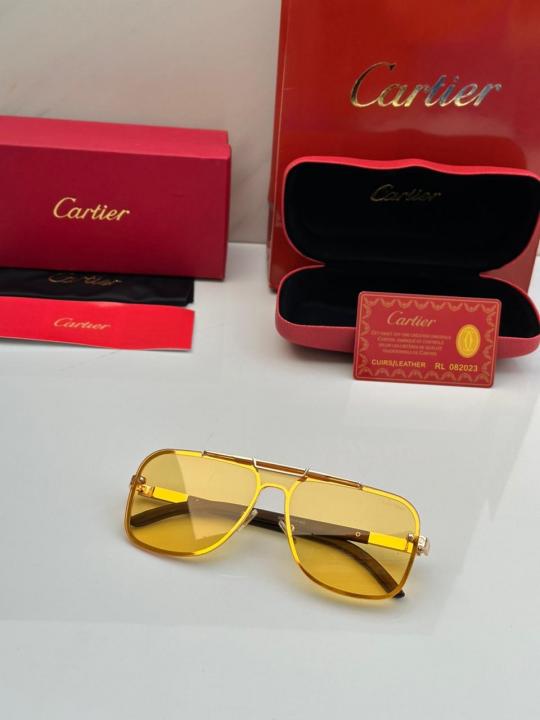 CARTIE_R SUNGLASS D-410