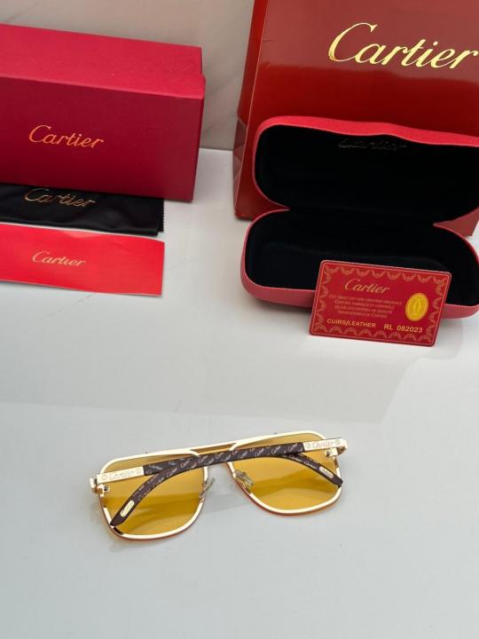 CARTIE_R SUNGLASS D-410