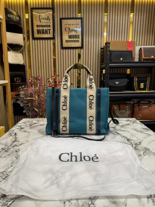 Chloe Premium Quality Handbag With Dust Bag (Teall) (V-6888)