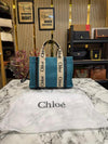 Chloe Premium Quality Handbag With Dust Bag (Teall) (V-6888)
