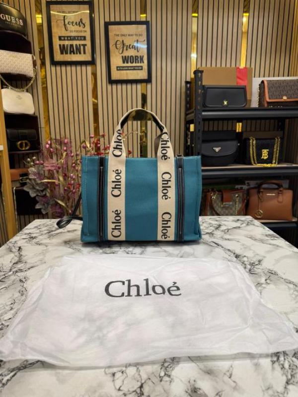 Chloe Premium Quality Handbag With Dust Bag (Teall) (V-6888)