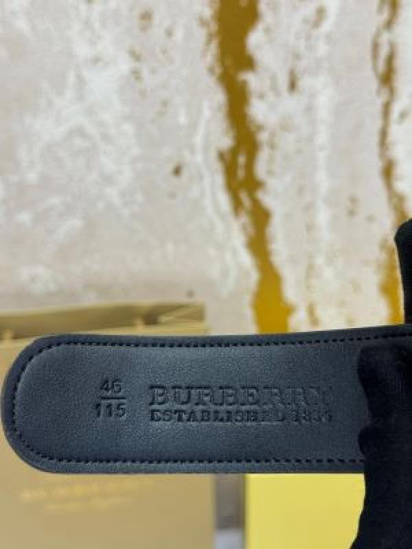 Burberry_Logo_Belt_Combo_TB_Buckle_With_Box_And_DustBag_Including_CarryBag_(B07-Tan)