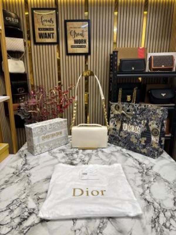 Christian_Dior_Caro_Logo_Shoulder_Bag_With_Box_And_Dust_Bag_Including_Carry_Bag_(Beige)