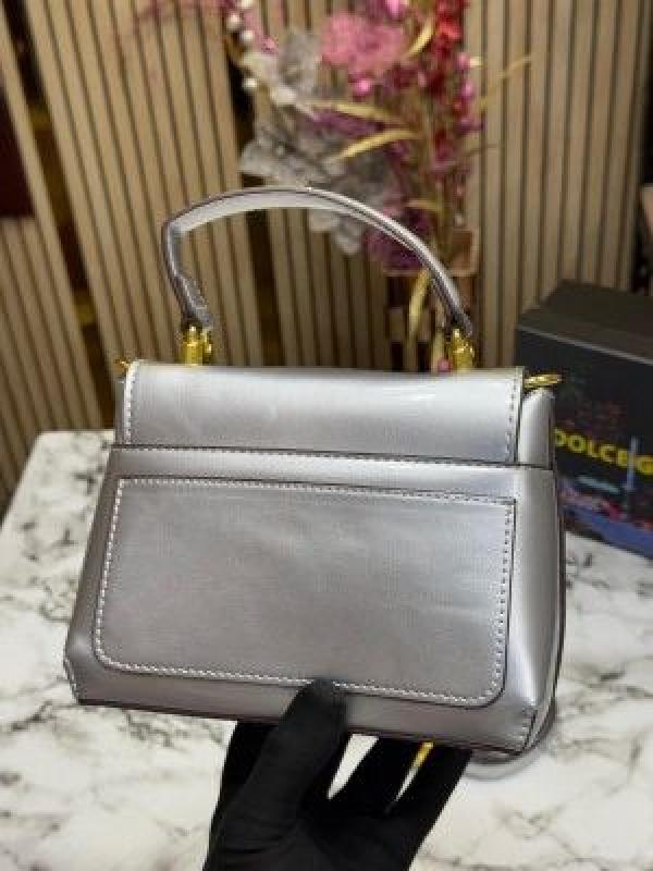 Dolc_e_&_Gabbana_lacquered_bag_mini_DG Logo_(Silver)