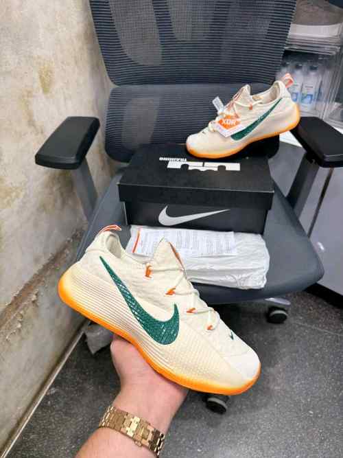 Nikee honors famu lebron tr1