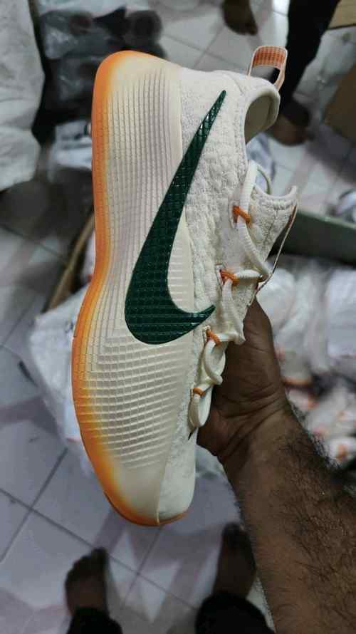 Nikee honors famu lebron tr1