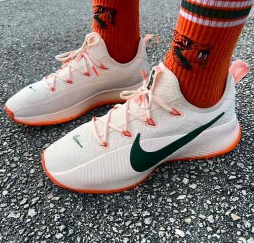 Nikee honors famu lebron tr1