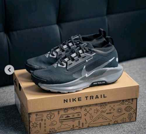 Nikee React Pegasus Trail 5 GTX Trainer Black White