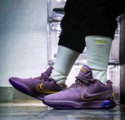 nikee Lebron 21 PURPLE Rain