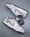 Nikee SB Dunk Low X North Face 2025 Reflective