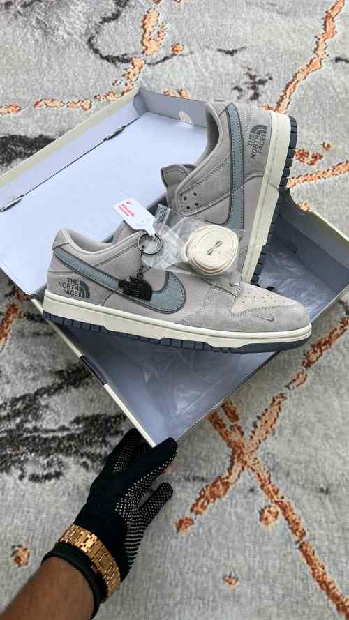 Nikee SB Dunk Low X North Face 2025 Reflective