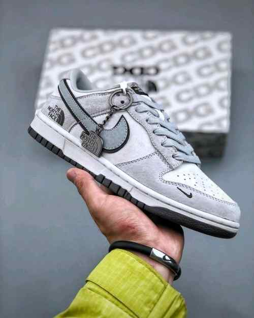 Nikee SB Dunk Low X North Face 2025 Reflective