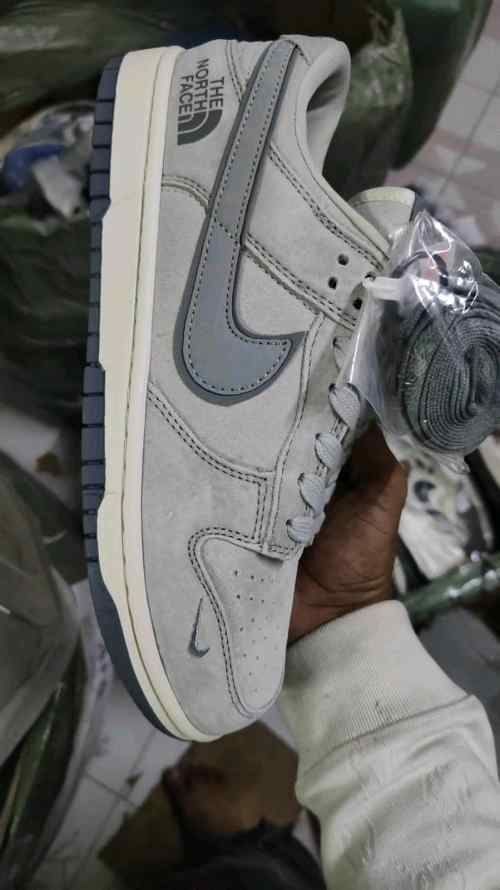 Nikee SB Dunk Low X North Face 2025 Reflective