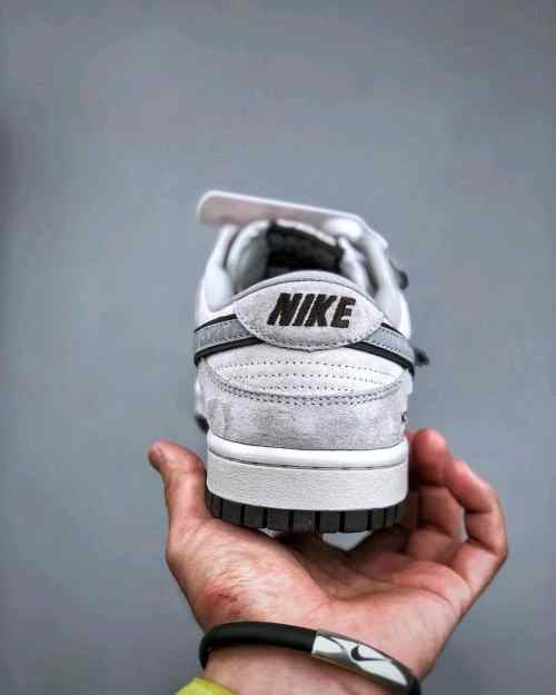 Nikee SB Dunk Low X North Face 2025 Reflective