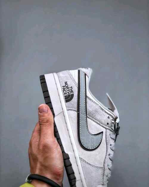 Nikee SB Dunk Low X North Face 2025 Reflective